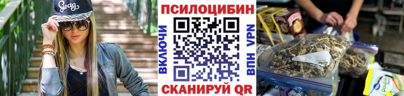 закладки Касли Галлюциногенные грибы Psilocybe